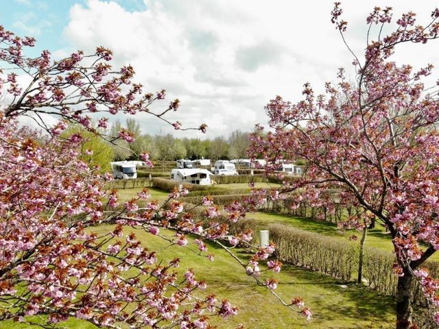 Ferien- und Camping Park Wisseler See