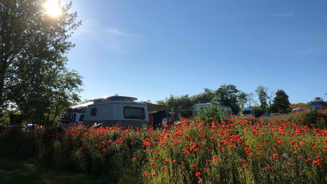 Naturcampingplatz Alt Reddevitz - Main photo