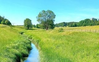 Ruissalo Camping