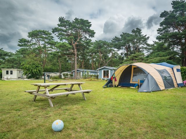 Bos Park Bilthoven