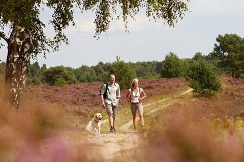 Camping Alinghoek Drenthe
