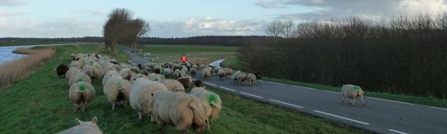 Campsite Cormeij Hoeve - Photo 2