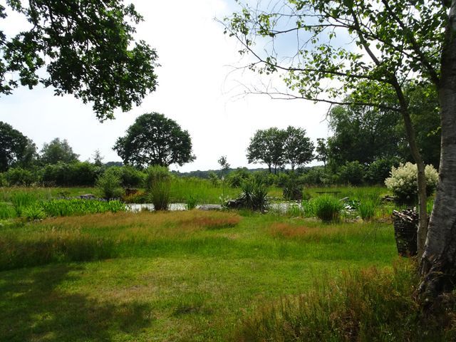 Camping de Drentse Patrijs photo 3