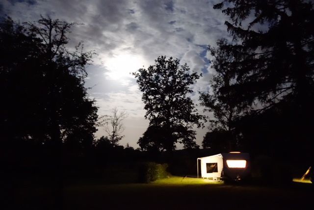 Camping de Drentse Patrijs photo 5