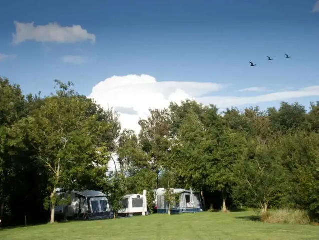 Camping De Groenlanden photo 3