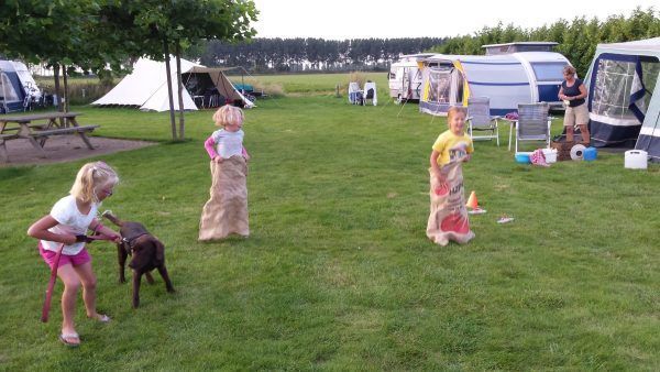 Camping De Helenahoeve photo 2