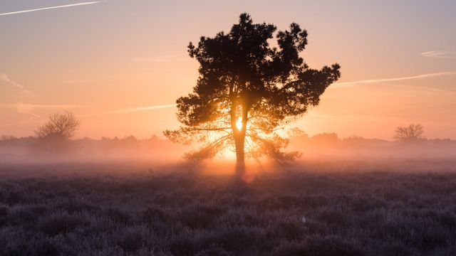 Camping De Linde (Doeveren gem Heusden)