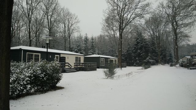Camping De Posthoorn photo 2