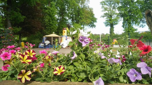 Camping De Posthoorn - Photo 2