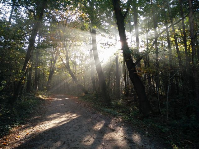 Camping De Posthoorn photo 4