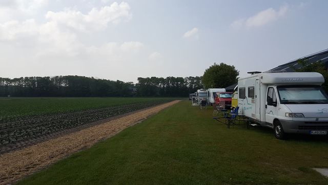 Camping Koegras