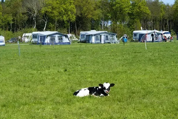 Camping Nieuwhof - Photo 2