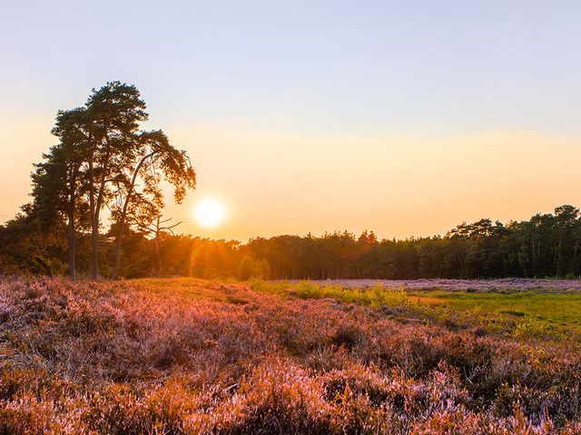 Camping 't Eikenbos photo 4