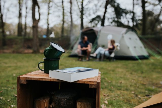 Camping Zwanemeer