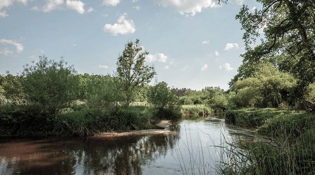 Natuurcamping Olde Kottink