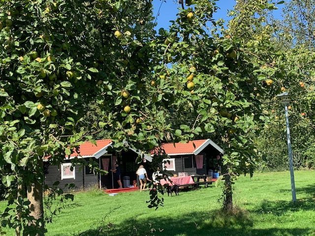 Natuurkampeerterrein De Kamperhoek