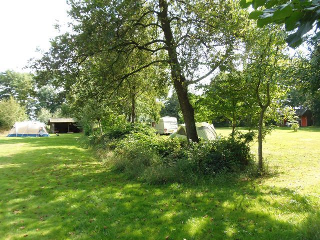 Natuurkampeerterrein Fleremaheerd photo 4