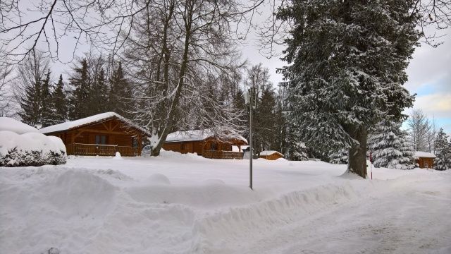 Camping Bois du Couvent photo 3