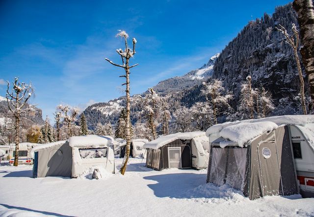 Camping Jungfrau photo 4