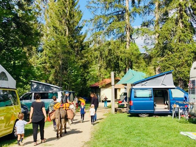Camping Le Creux-des-Biches photo 3