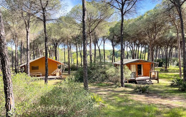 Camping Huttopia Parque de Doñana photo 4