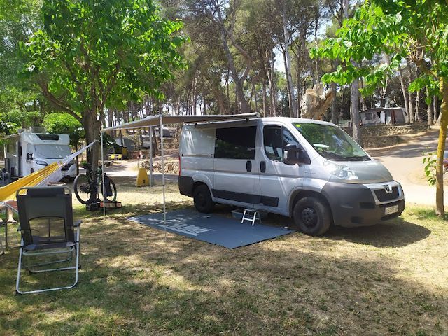 Camping Lacus