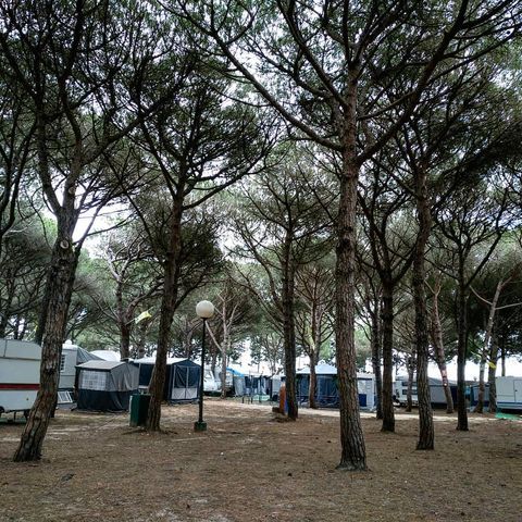 Camping Pinar Tula