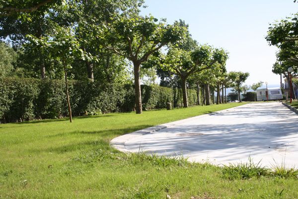 Camping Suavila photo 3