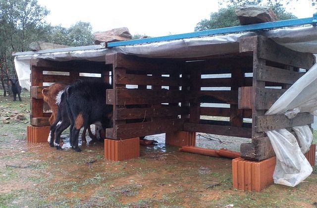 La Finca Solidaria