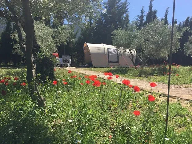Mini-camping Ardalejo photo 2