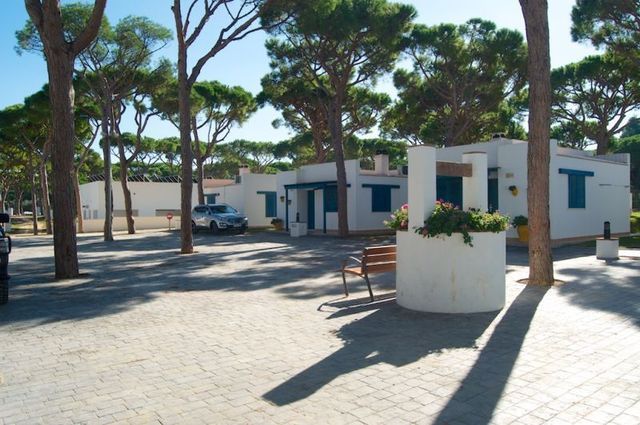Pinar San José