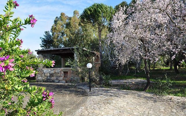Agriturismo Masseria San Nicola