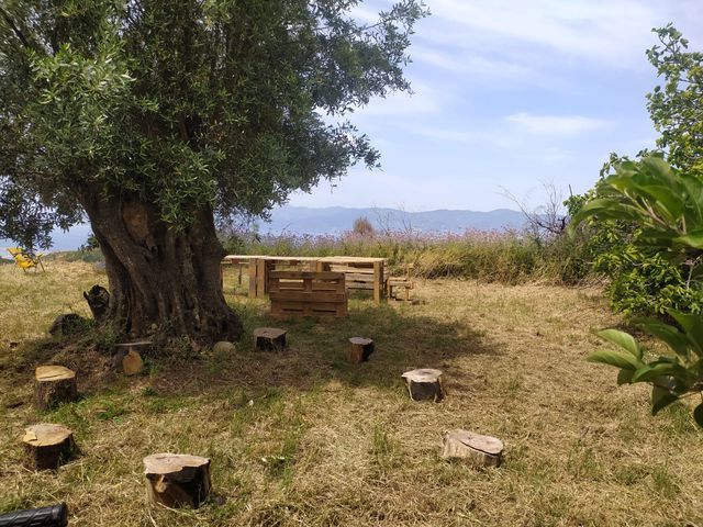 Agriturismo Sant'Anna photo 4