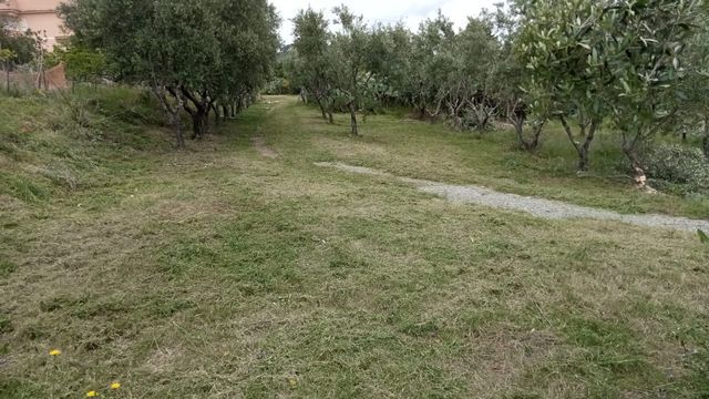 Agriturismo Sant'Anna
