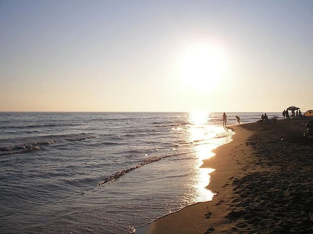 Al Delfino Camping Mare - Main photo