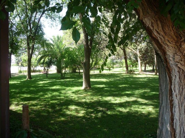 Azienda Agrituristica Camping San Marco photo 4