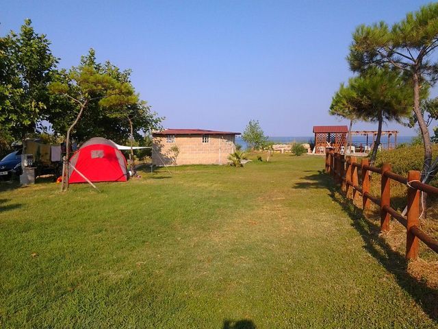 Azienda Agrituristica Torre Scifo photo 5