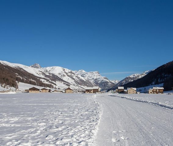 Campeggio Forcola photo 2
