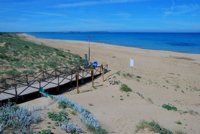 Campeggio Nurapolis photo 2
