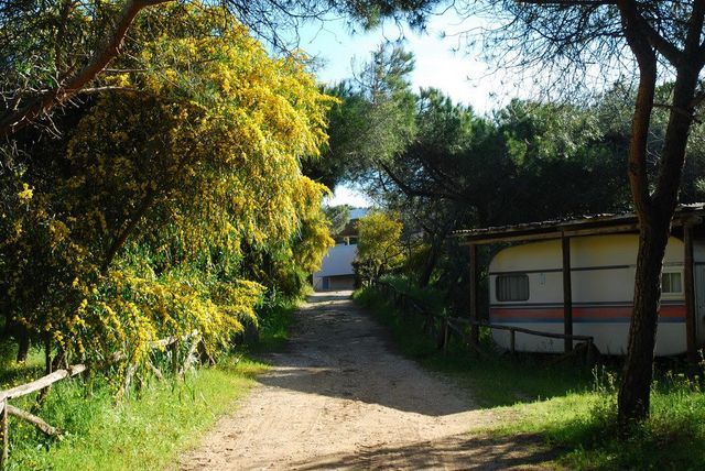 Campeggio Nurapolis photo 3