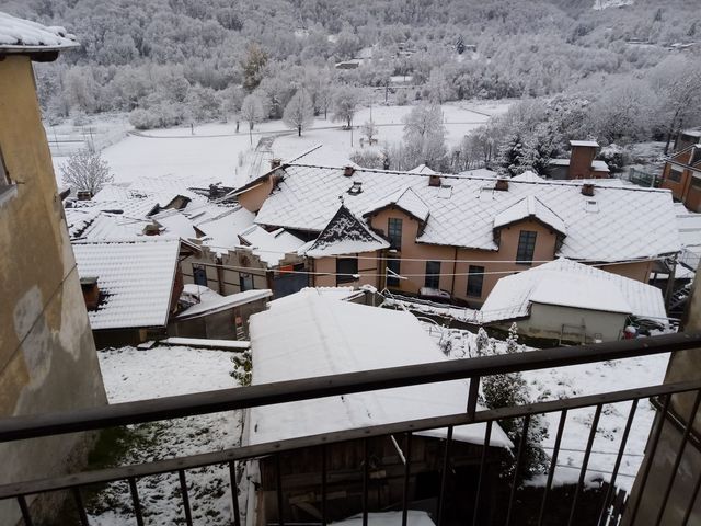 Campeggio Pino Blu photo 5