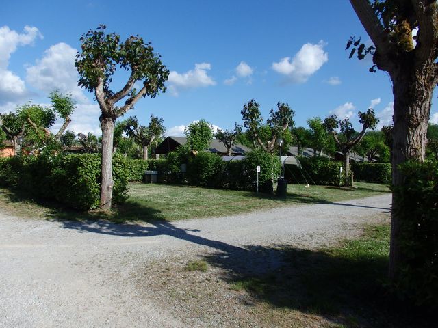 Camping La Chiocciola photo 5
