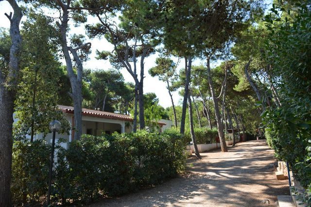 Camping Pineta al Mare photo 2