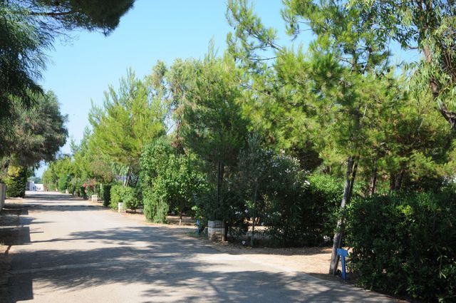 Camping Pineta al Mare photo 4