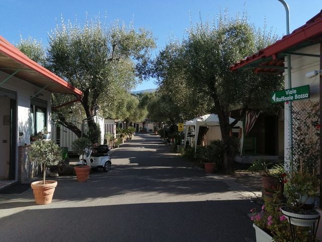 Camping Residence OLIVETO photo 5