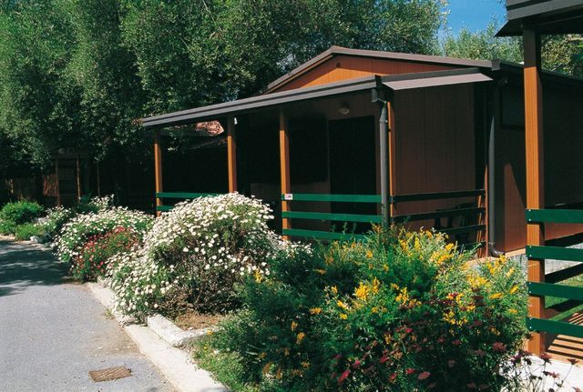 Camping Residence OLIVETO photo 3