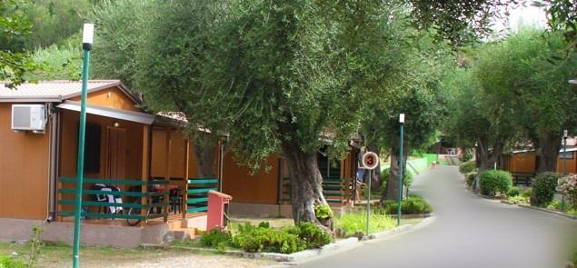 Camping Residence OLIVETO photo 2