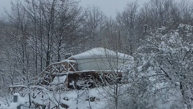 La Fattoria dell'Autosufficienza photo 3