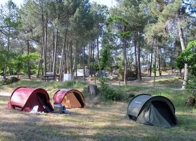 Douro Camping photo 5