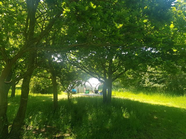Low Farm Holiday Cottages & Campsite - Waldringfield / Suffolk photo 5